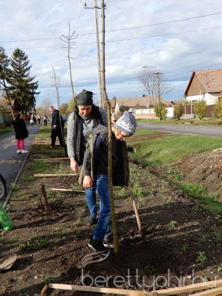 Közösségi faültetés Berettyóújfaluban 36